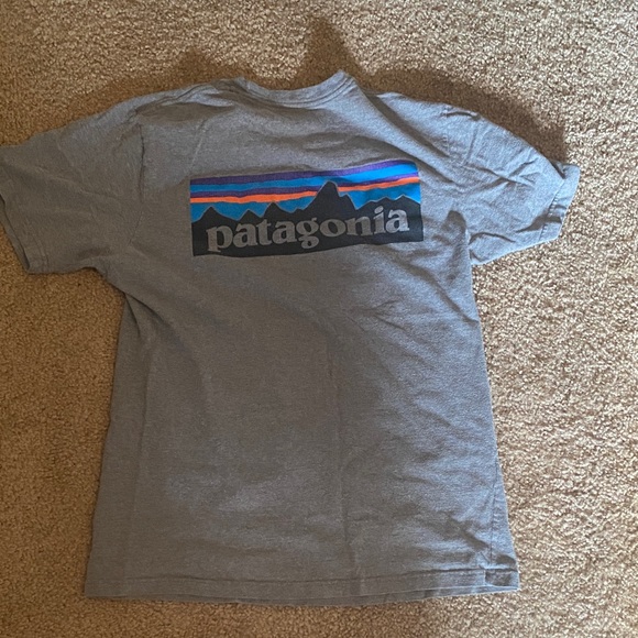Patagonia Classic Heather Gray Tee - Picture 1 of 4